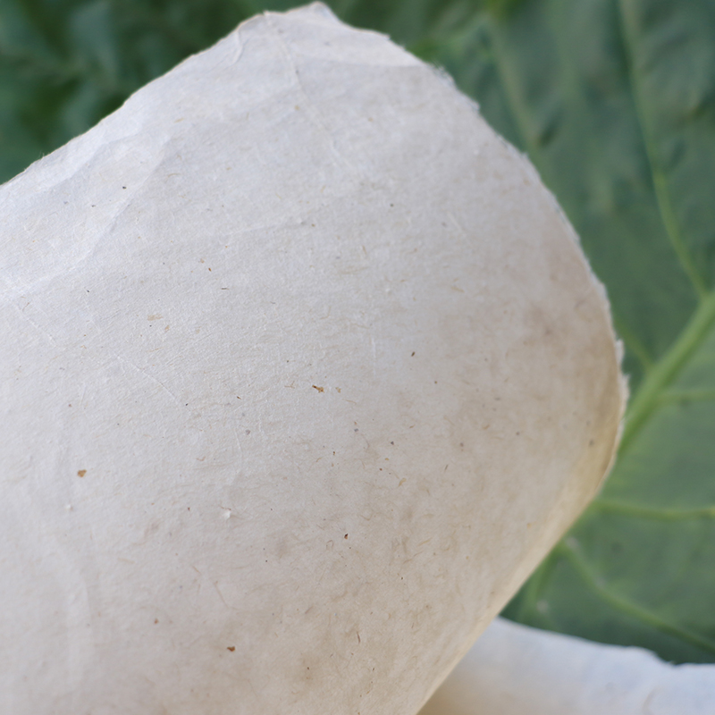 Tibet tradition Handicraft Nepal Pure handwork natural Tibetan paper tradition Raw pulp Wolfsbane Tibetan paperin the Arts and crafts , Minority handicrafts , Tibetan characteristics , Other category - from Buy2taobao.com to provide professional Taobao agent buy service