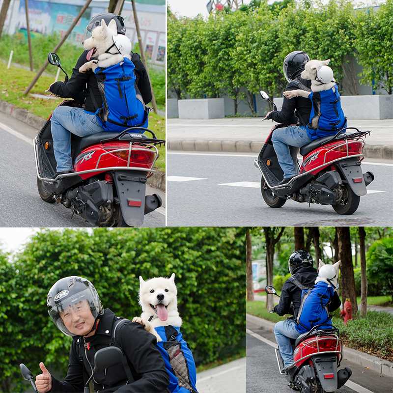 Doug new pattern Pets Bag Pets travel knapsack Kitty Dogs go out Pet package The chest Handbagin the Pet/Pet food and supplies , Cat/Dog Supplies , Backpack/Bags category - from Buy2taobao.com to provide professional Taobao agent buy service
