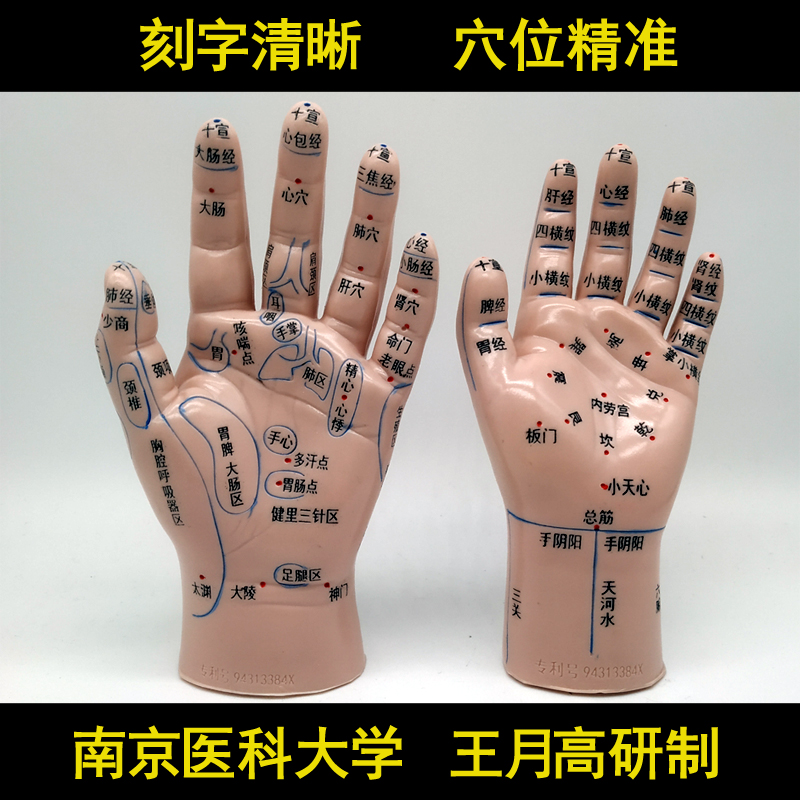 上海中界經絡通 手按摩模型/ 手針灸模型/手部穴位模型 兩只裝在類目 個人護理/保健/按摩器材, 按摩器材, 其它按摩器材中 - 來自Buy2taobao.com提供專業的淘寶代購服務