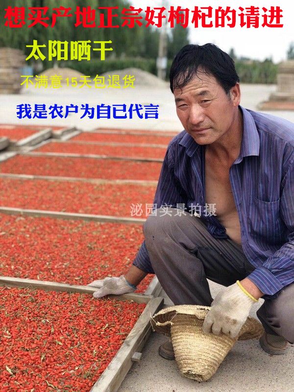 正宗宁夏中宁小枸杞红枸杞子特级免洗苟杞子农家特产500包邮男肾在类目 传统滋补营养品, 枸杞及其制品, 枸杞中 - 来自Buy2taobao.com提供专业的淘宝代购服务