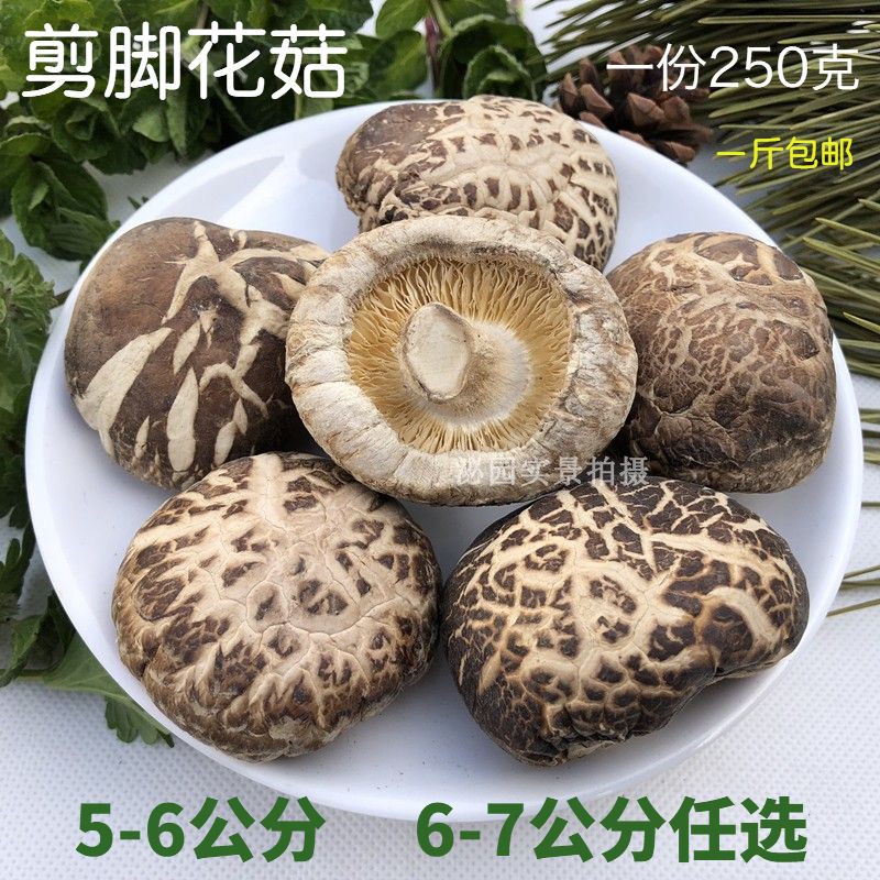 new goods Biyang Flower Mushroom mushrooms dried food Camellia mushroom Mushrooms Farm bulk 250gin the Agri rice/Dried foods/Condiment , Dried foods/Meat Dry , Dry/Native , Mushroom category category - from Buy2taobao.com to provide professional Taobao agent buy service