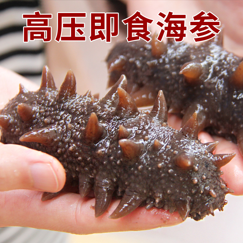 即食海参 单个装刺海参海渗鲜食海参鲜活高压新鲜海鲜满128包邮在类目 水产肉类/新鲜蔬果/熟食, 海鲜/水产品/制品, 海参中 - 来自Buy2taobao.com提供专业的淘宝代购服务