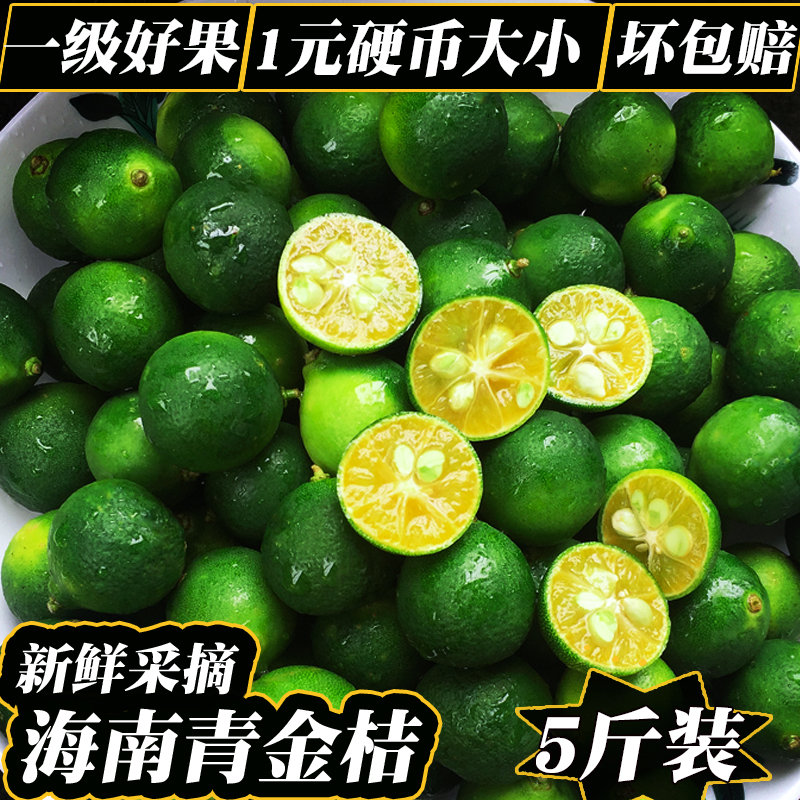 现货海南青金桔新鲜包邮小金桔5斤装免邮小金橘青桔子奶茶小柠檬|ruв категории водной мясо/свежие фрукты и овощи/еда, свежие фрукты, апельсин - от Buy2taobao.com для оказания профессиональной услуги покупки агента Taobao