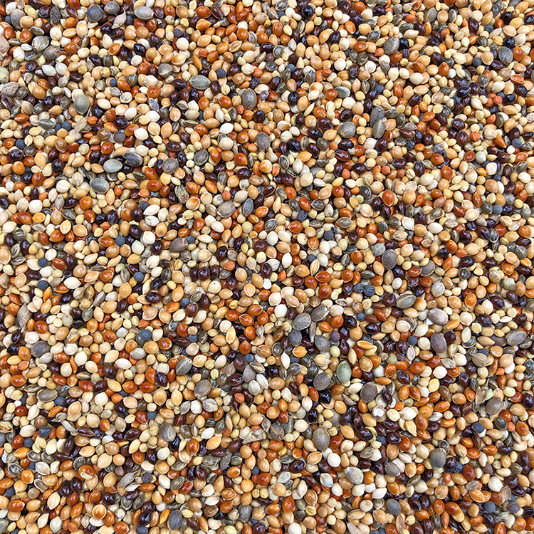 愛鳥坊 虎皮 牡丹 玄鳳 小太陽鹦鹉鳥食鳥糧混合鹦鹉飼料500g在類目 寵物/寵物食品及用品, 鳥類及用品, 鳥食中 - 來自Buy2taobao.com提供專業的淘寶代購服務