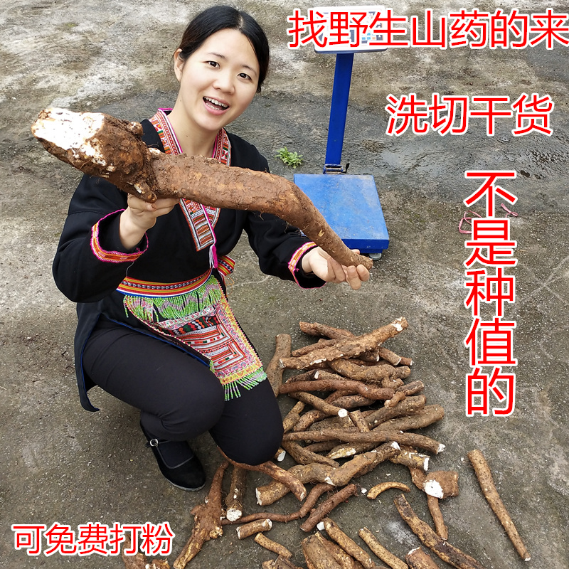 野生山药新鲜切晒淮山干怀山山药片山药粉瑶家农家一件500克包邮|ruв категории традиционные питательный пища, ям - от Buy2taobao.com для оказания профессиональной услуги покупки агента Taobao