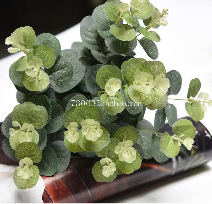 仿真丝印尤加利金钱叶景观装饰插花金钱草在类目 家居饰品, 花瓶/花器/仿真花/仿真饰品, DIY仿真材料中 - 来自Buy2taobao.com提供专业的淘宝代购服务