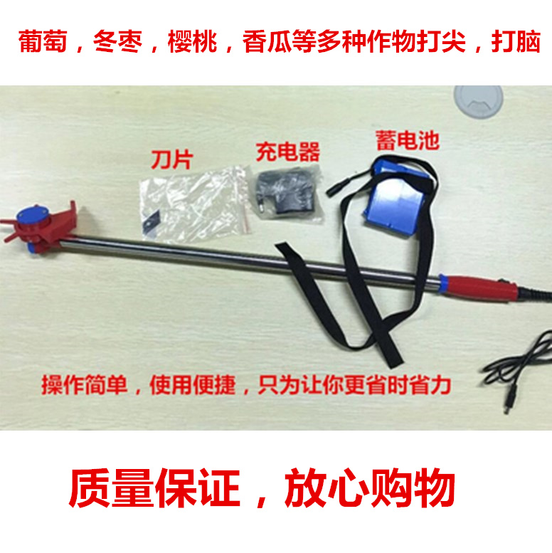 冬棗果樹葡萄花椒椒樹棗樹黃豆荔枝樹猕猴桃打棗吊豆類掐尖打尖機在類目 農機/農具/農膜, 農業工具, 其它農用工具中 - 來自Buy2taobao.com提供專業的淘寶代購服務