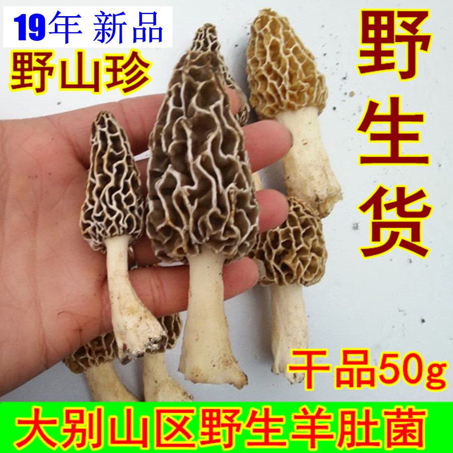 2019年大别山特产野生羊肚菌羊肚菇野生菌非干货香菇50g包邮在类目 粮油米面/南北干货/调味品, 南北干货/肉类干货, 干货/土特产, 香菇类中 - 来自Buy2taobao.com提供专业的淘宝代购服务
