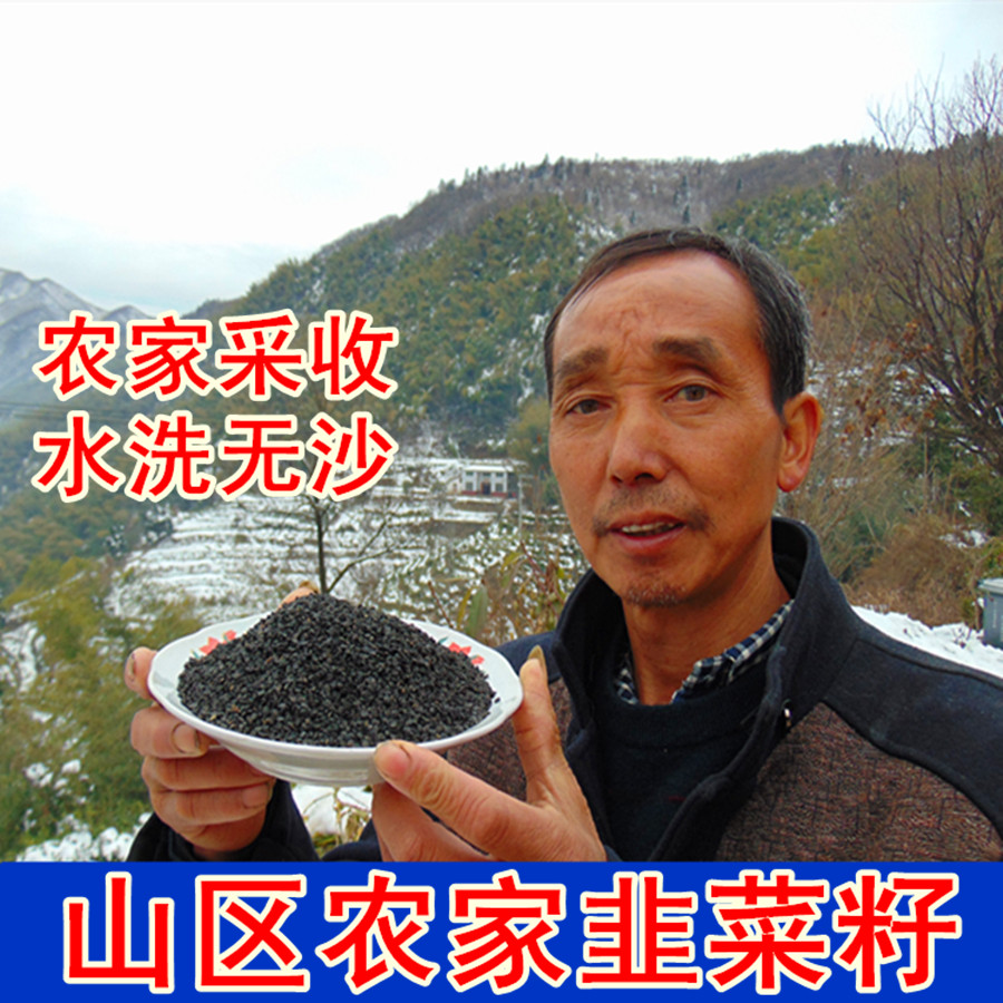 野生韭菜子韭菜籽 持久韭菜子籽韭菜籽粉男性滋补 500克包邮在类目 传统滋补营养品, 其他传统滋补品, 传统滋补品其他中 - 来自Buy2taobao.com提供专业的淘宝代购服务