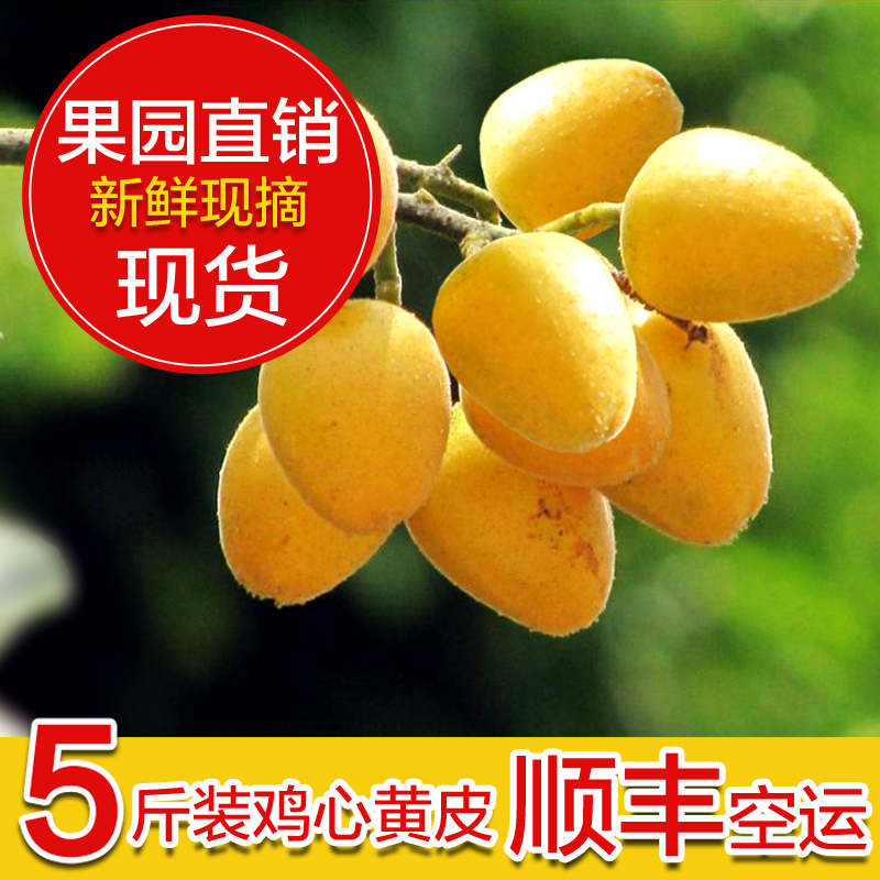 现摘5斤从化特产鸡心黄皮果 新鲜黄皮果 黄皮 酸甜孕妇可吃发顺丰在类目 水产肉类/新鲜蔬果/熟食, 新鲜水果, 其它中 - 来自Buy2taobao.com提供专业的淘宝代购服务
