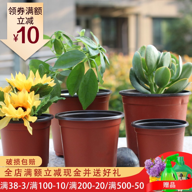营养钵 穴盆 园艺小花盆 育苗盆 摔不坏花盆 双色塑料花盆P19在类目 鲜花速递/花卉仿真/绿植园艺, 园艺用品, 育苗盘/营养钵中 - 来自Buy2taobao.com提供专业的淘宝代购服务