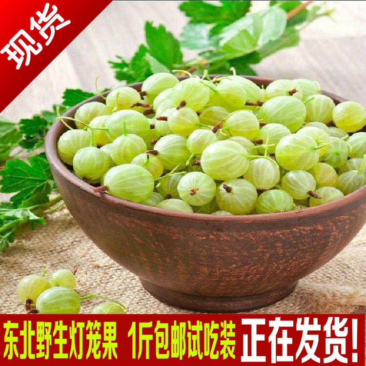 Lantern fruit Utilis Water grape gastric acid Dregs Plum Green cherries grain Gooseberry 1 poundsin the Aquatic meat/Fresh fruits and vegetables/Cooked , Fresh fruit , Other category - from Buy2taobao.com to provide professional Taobao agent buy service