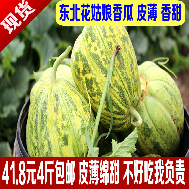香瓜 花姑娘香瓜 东北八里香甜脆比羊角蜜甜当季水果净重4斤瓜在类目 水产肉类/新鲜蔬果/熟食, 新鲜水果, 其它中 - 来自Buy2taobao.com提供专业的淘宝代购服务