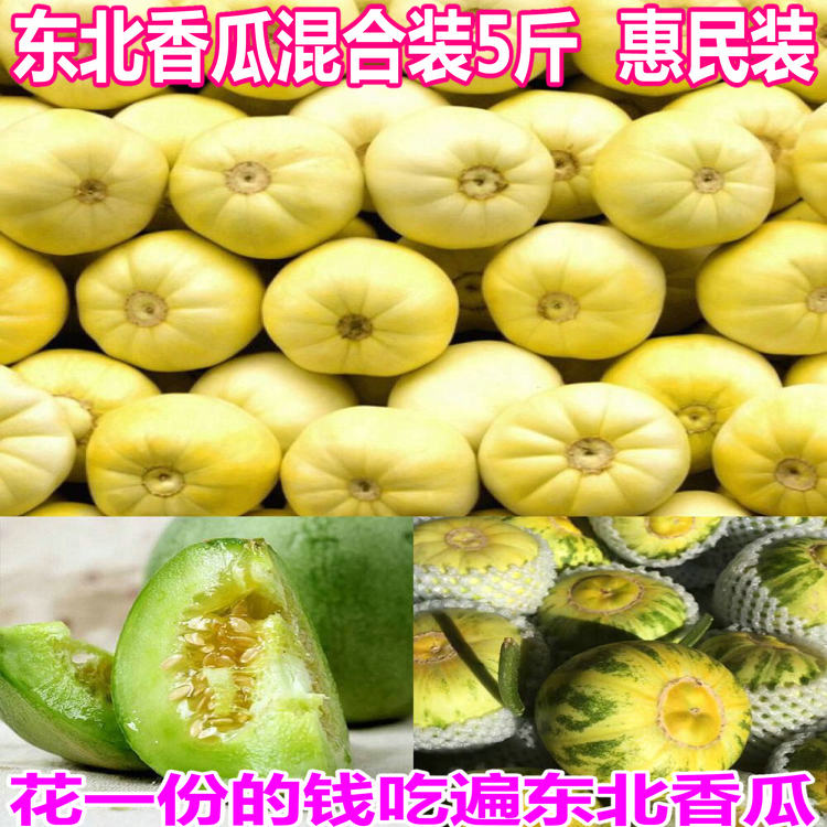 東北香瓜 白糖罐京蜜香瓜 花姑娘八裏香 綠寶甜香瓜 5斤混合裝在類目 水產肉類/新鮮蔬果/熟食, 新鮮水果, 其它中 - 來自Buy2taobao.com提供專業的淘寶代購服務
