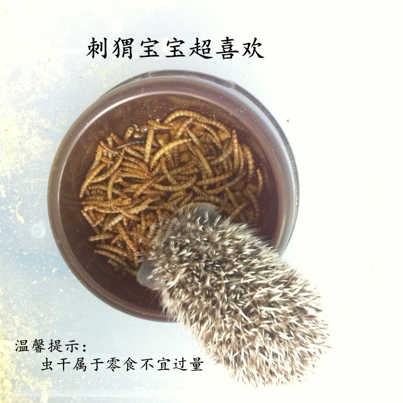 非洲迷你刺猬粮食零食饲料 面包虫干黄粉虫干25g仓鼠西班牙睡鼠|ruв категории животное/Животное питание и принадлежностей, рептилии/насекомых и принадлежностей, рептилии/насекомых питание - от Buy2taobao.com для оказания профессиональной услуги покупки агента Taobao