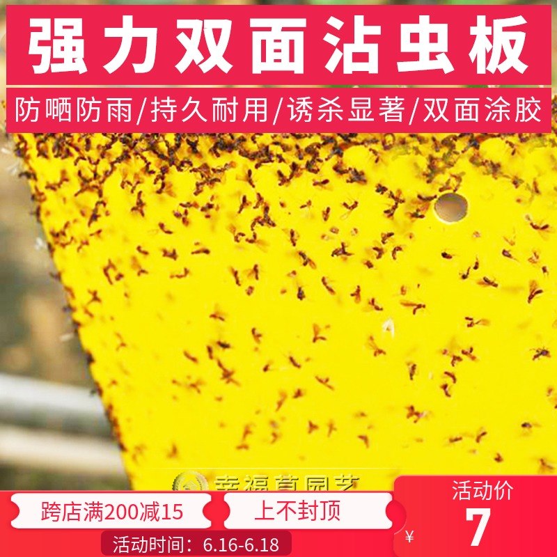 强力捕虫板诱虫板粘虫板黄板双面pvc捉虫板杀小飞虫黑飞蚜虫粉虱|ruв категории доставка цветов/цветок моделирования/растения садоводства, садовых принадлежностей, других садовых принадлежностей - от Buy2taobao.com для оказания профессиональной услуги покупки агента Taobao