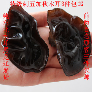 3件包郵 秋木耳 木耳 東北黑木耳 幹貨 大木耳個大肉厚在類目 糧油米麪/南北乾貨/調味品, 南北乾貨/肉類乾貨, 乾貨/土特產, 黑木耳中 - 來自Buy2taobao.com提供專業的淘寶代購服務