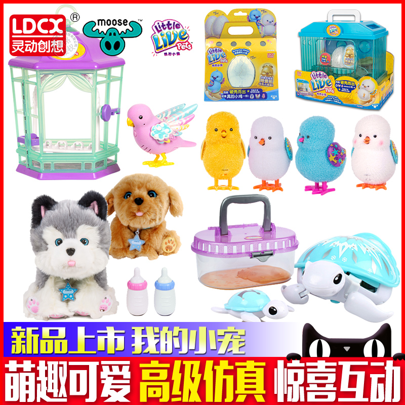 Smart Imagination My Sing Birds Pleasantly surprised Hatch chick Puppy boy girl luminescence Toysin the Toy/Childs/Puzzle/Building block/Model , Electronic/Light/Aerated/Tricky Toy , Glow Toys category - from Buy2taobao.com to provide professional Taobao agent buy service