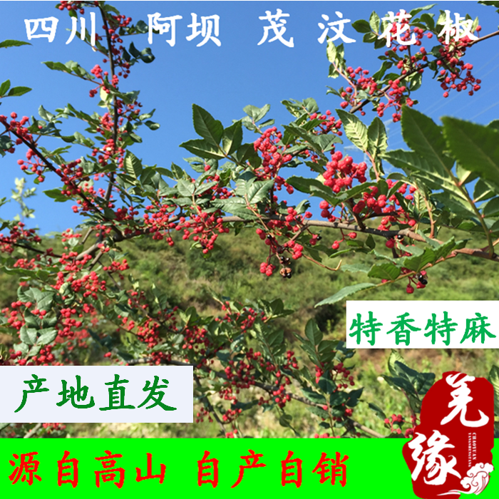 四川茂汶大紅袍花椒 特級麻茂縣非漢源六月椒火鍋調味品鹵料麻椒在類目 糧油米麪/南北乾貨/調味品, 調味品/果醬/沙拉, 調味料, 花椒/八角/桂皮中 - 來自Buy2taobao.com提供專業的淘寶代購服務