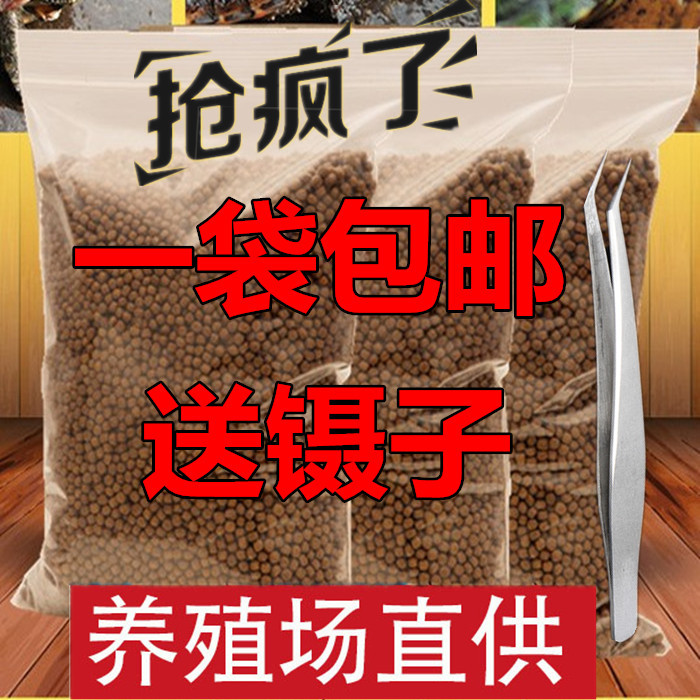 大容量鱼料食物粮食喂食养殖场通用散装食草龟粮淡水巴西龟乌龟食在类目 宠物/宠物食品及用品, 水族世界, 龟/鳖中 - 来自Buy2taobao.com提供专业的淘宝代购服务