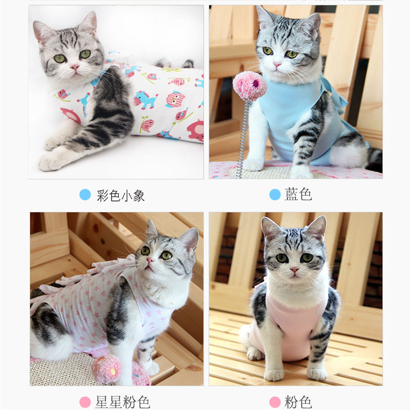 貓咪手術服母貓絕育衣服棉布透氣舒適防舔防脫寵物四腳衣四季保護在類目 寵物/寵物食品及用品, 寵物服飾及配件, 寵物服裝/雨衣中 - 來自Buy2taobao.com提供專業的淘寶代購服務
