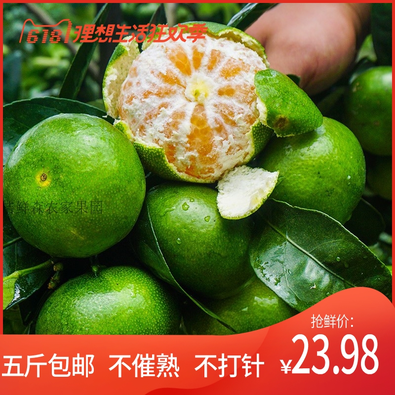 Orange fresh Peel Tangerine Orange Citrus Seedless Orange pregnant woman Season Fruit 3in the Aquatic meat/Fresh fruits and vegetables/Cooked , Fresh fruit , Orange category - from Buy2taobao.com to provide professional Taobao agent buy service