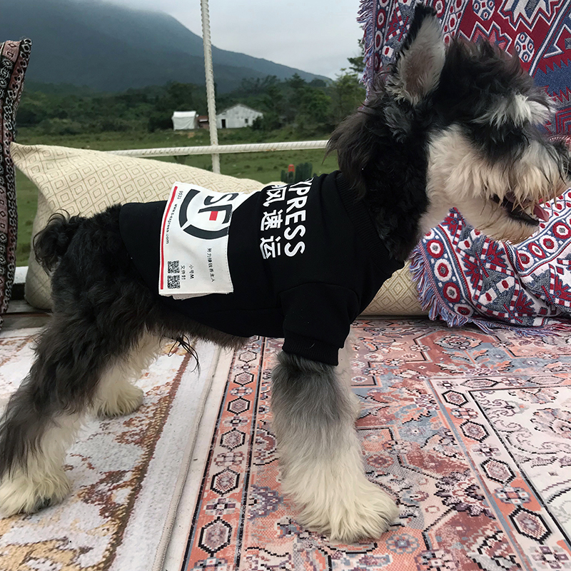 春夏季雪纳瑞法斗巴哥泰迪宠物狗狗衣服抖音网红恶搞顺丰快递薄款|ruв категории животное/Животное питание и принадлежностей, одежды и аксессуаров для домашних животных, домашний костюм/плащ - от Buy2taobao.com для оказания профессиональной услуги покупки агента Taobao