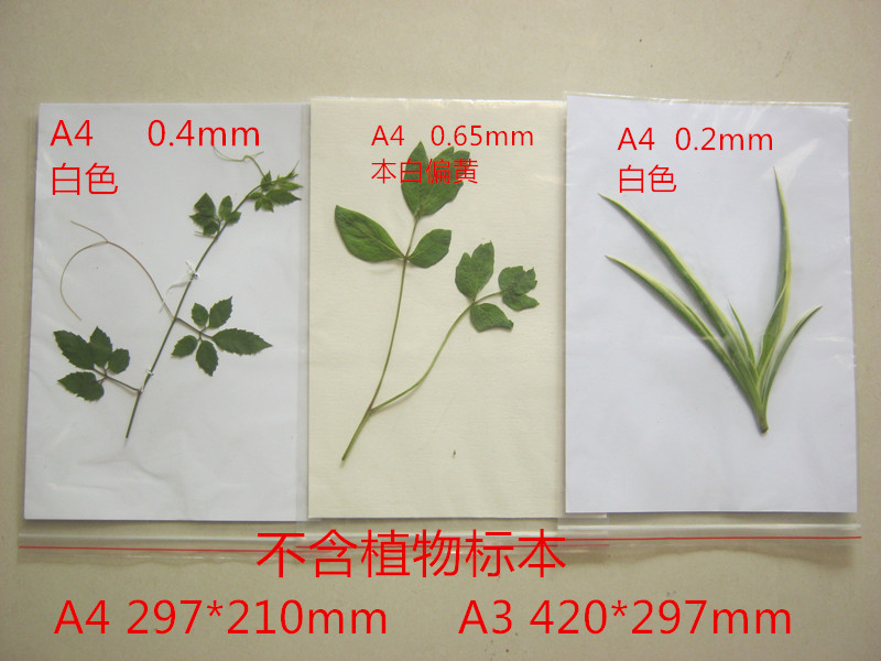 植物蜡叶标本夹树叶标本保存台纸A3 A4 塑料自封袋在类目 办公设备/耗材/相关服务, 其它耗材, 其它中 - 来自Buy2taobao.com提供专业的淘宝代购服务