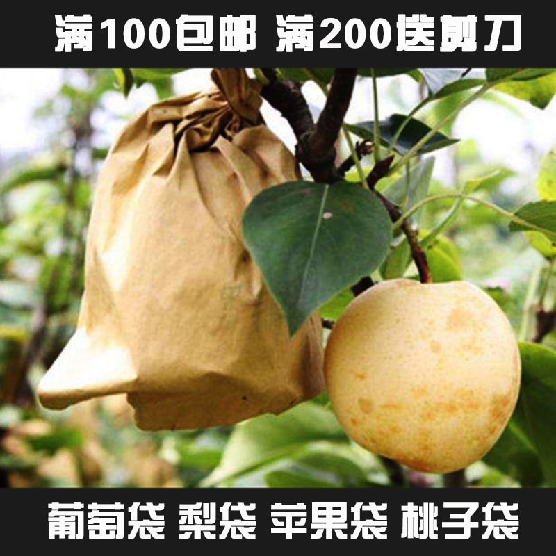 石榴桃子便携耐用纸质大容量树上花果保护袋农用套梨专用袋子双层在类目 鲜花速递/花卉仿真/绿植园艺, 园艺用品, 其它园艺用品中 - 来自Buy2taobao.com提供专业的淘宝代购服务
