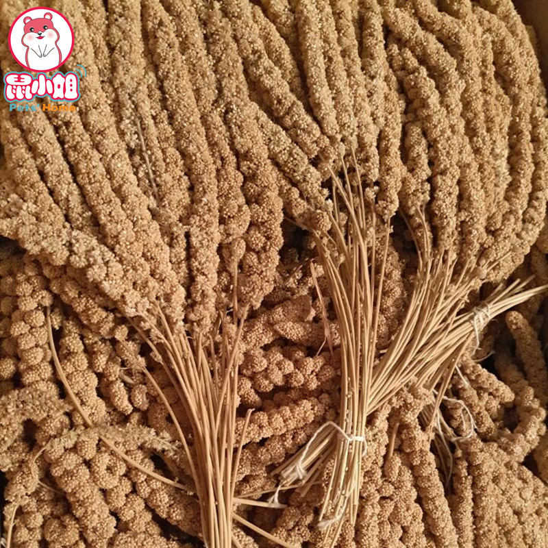 仓鼠花枝喜爱零食 天然黄谷穗 穗子 麦穗 逗鼠棒 100克在类目 宠物/宠物食品及用品, 鸟类及用品, 鸟食中 - 来自Buy2taobao.com提供专业的淘宝代购服务