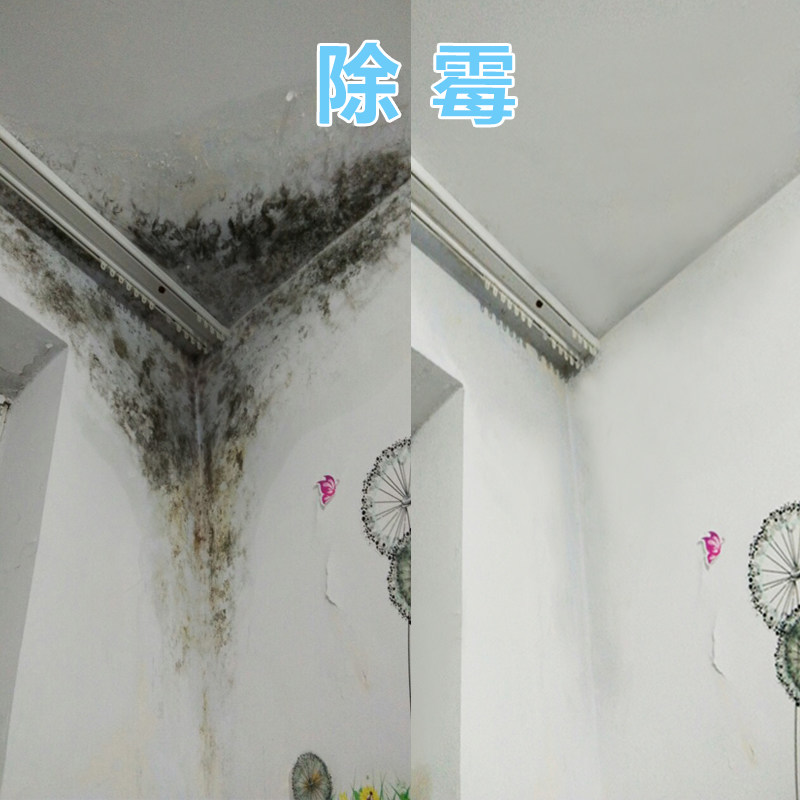 3瓶装除霉剂墙体墙面浅色墙纸去霉点霉斑清洁剂白墙壁去污防霉剂在类目 洗护清洁剂/卫生巾/纸/香薰, 家庭环境清洁剂, 多用途清洁剂中 - 来自Buy2taobao.com提供专业的淘宝代购服务