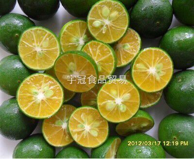 越南现货新鲜小青金桔柠檬奶茶果汁冷饮咖啡店配用海南常年不断货在类目 水产肉类/新鲜蔬果/熟食, 新鲜水果, 其它中 - 来自Buy2taobao.com提供专业的淘宝代购服务