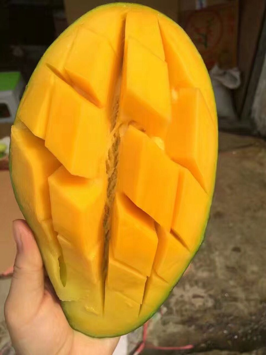 越南特産新鮮青皮大芒5斤裝包郵長期出售各種東南亞水果美食小吃在類目 水產肉類/新鮮蔬果/熟食, 新鮮水果, 芒果中 - 來自Buy2taobao.com提供專業的淘寶代購服務