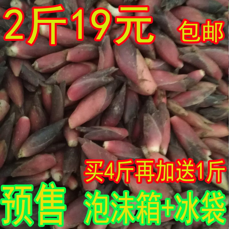 阳荷新鲜包邮 野生贵州 阳霍元和 洋荷 阳荷姜 洋荷姜 茗荷 2斤装在类目 水产肉类/新鲜蔬果/熟食, 新鲜蔬菜/蔬菜制品, 新鲜蔬菜, 其它中 - 来自Buy2taobao.com提供专业的淘宝代购服务