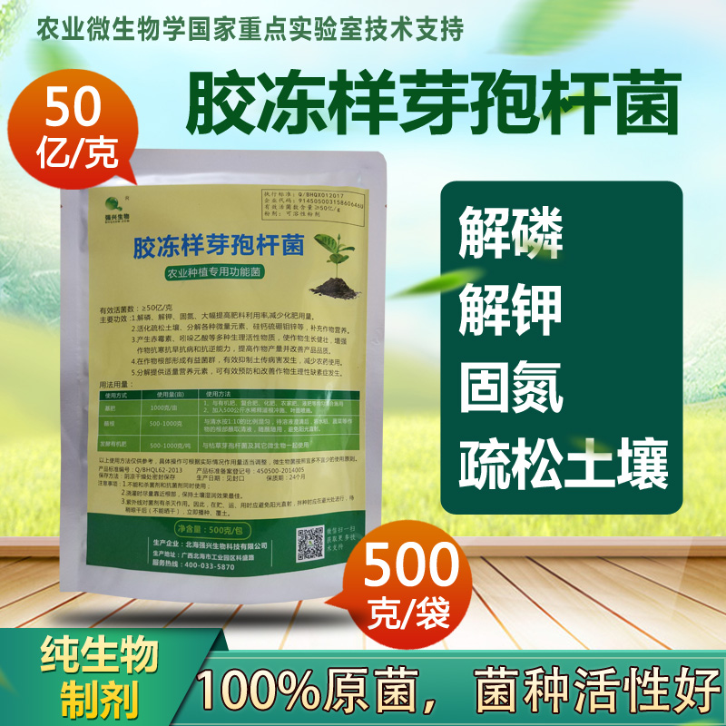 包邮50亿1克胶冻样芽孢杆菌胶质芽孢杆菌厂家直销有机肥解磷解钾在类目 鲜花速递/花卉仿真/绿植园艺, 园艺用品, 家庭园艺肥料/营养土/营养液中 - 来自Buy2taobao.com提供专业的淘宝代购服务