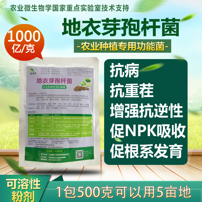 1000亿农用地衣芽孢杆菌高菌数纯度抗重茬抗病种植专用微生物菌剂|msdalam kategori penghantaran bunga/bunga simulasi/tumbuhan berkebun, Gardening Supplies, baja rumah berkebun/tanah pemakanan/penyelesaian nutrien - dari Buy2taobao.com untuk memberikan perkhidmatan ejen Taobao profesional membeli