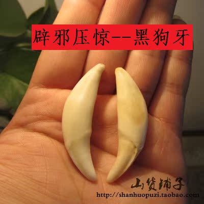 真品野猪山猪獠牙精品 天然辟邪吊坠挂件 宝宝压惊镇宅獒犬黑狗牙|ruв категории Украшения,ювелирные изделия, кулон/кулон - от Buy2taobao.com для оказания профессиональной услуги покупки агента Taobao