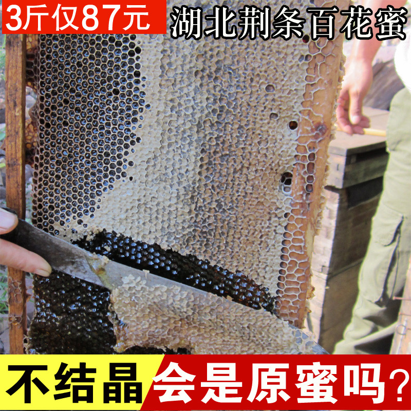 自产蜂蜜结晶荆条蜜百花蜜糖500G农家野生成熟纯正天然荆花蜂蜜在类目 传统滋补营养品, 蜂蜜中 - 来自Buy2taobao.com提供专业的淘宝代购服务