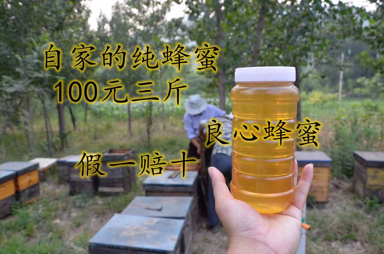 很喜乐包邮蜂蜜纯天然 原生态农家自产洋槐蜂蜜500克在类目 传统滋补营养品, 蜂产品, 其它蜂产品中 - 来自Buy2taobao.com提供专业的淘宝代购服务
