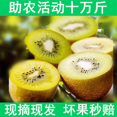 在线风味绿心弥猴桃新鲜5斤包邮  新鲜水果孕妇奇异果非红心黄心