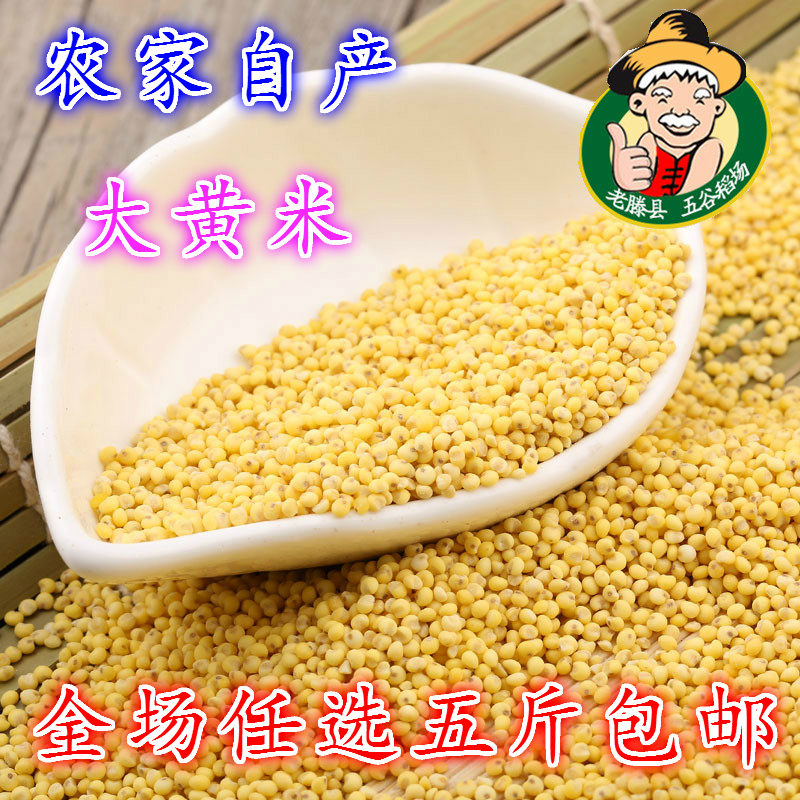 Farm Production Beige Glutinous rice traditional Chinese rice-pudding Millet Yellow rice Rhubarb rice Glutinous millet Yellow rice 250gin the Agri rice/Dried foods/Condiment , Meter/Flour/Grains , Rice , Millet category - from Buy2taobao.com to provide professional Taobao agent buy service