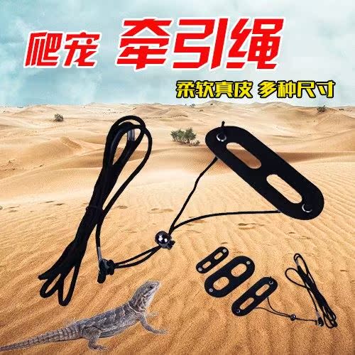Lizard Traction rope Traction rope Reptile go out Traction rope Lizard Desert Lizard Traction ropein the Pet/Pet food and supplies , Reptile/Insects and supplies Ming , Reptile/Insect appliances Ming category - from Buy2taobao.com to provide professional Taobao agent buy service