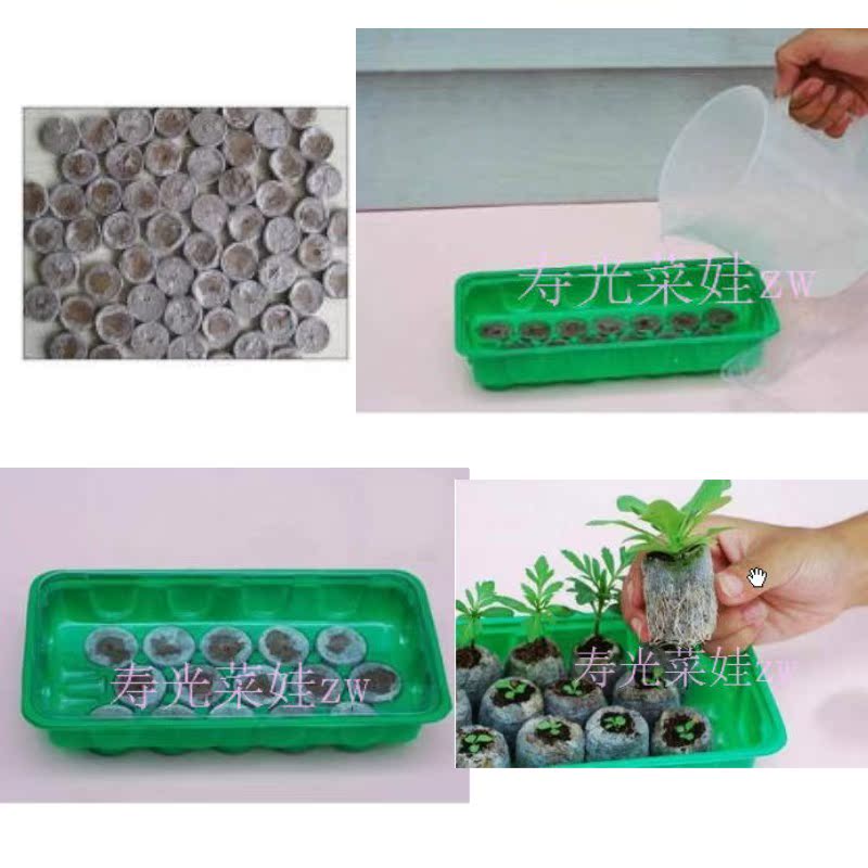 膨胀10多倍 进口挪威育苗块 3.8mm 压缩泥炭块 育苗超简单|msdalam kategori penghantaran bunga/bunga simulasi/tumbuhan berkebun, Gardening Supplies, dulang Nursery/mangkuk pemakanan - dari Buy2taobao.com untuk memberikan perkhidmatan ejen Taobao profesional membeli