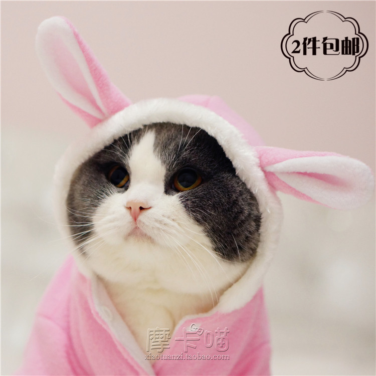 *摩卡喵*宠物衣服猫咪狗狗衣服 秋冬保暖小兔子变身装卖萌猫衣服在类目 宠物/宠物食品及用品, 宠物服饰及配件, 宠物服装/雨衣中 - 来自Buy2taobao.com提供专业的淘宝代购服务