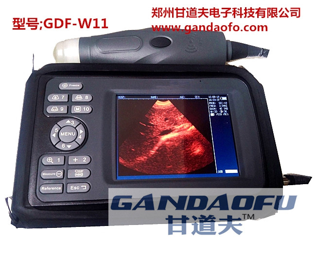进口高清兽用B超彩超,进口动物B超彩超猪牛羊动物B超快速测孕仪在类目 畜牧/养殖物资, 畜牧/养殖设备, 畜牧/养殖器械中 - 来自Buy2taobao.com提供专业的淘宝代购服务