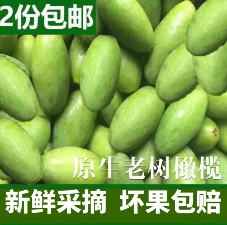 现摘现发青橄榄青果1斤装孕妇宝宝水果 2份包邮在类目 零食/坚果/特产, 蜜饯/枣类/梅/果干, 橄榄中 - 来自Buy2taobao.com提供专业的淘宝代购服务