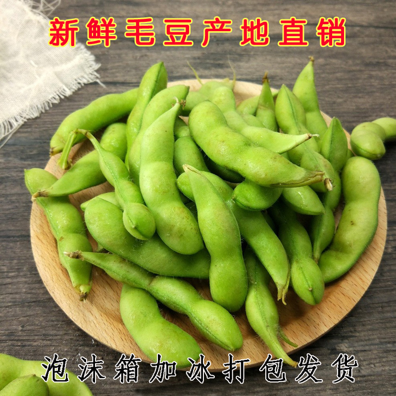 四斤現摘新鮮毛豆帶殼農家自種綠青小毛豆角應季新鮮蔬菜湖北特産在類目 水產肉類/新鮮蔬果/熟食, 新鮮蔬菜/蔬菜製品, 新鮮蔬菜, 其它中 - 來自Buy2taobao.com提供專業的淘寶代購服務