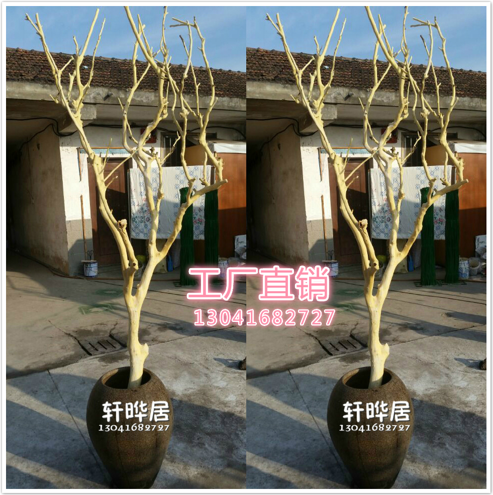 干枯剥皮本色风景造型桔子树枝树杆庭院别墅婚纱影楼背景道具装饰|ruв категории доставка цветов/цветок моделирования/растения садоводства, искусственные цветы/растения/фрукты и овощи готовой продукции (новая), моделирование растения - от Buy2taobao.com для оказания профессиональной услуги покупки агента Taobao