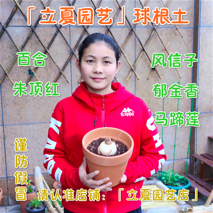 立夏园艺球根植物专用土朱顶红百合马蹄莲郁金香风信子专用营养土在类目 鲜花速递/花卉仿真/绿植园艺, 园艺用品, 家庭园艺肥料/营养土/营养液中 - 来自Buy2taobao.com提供专业的淘宝代购服务
