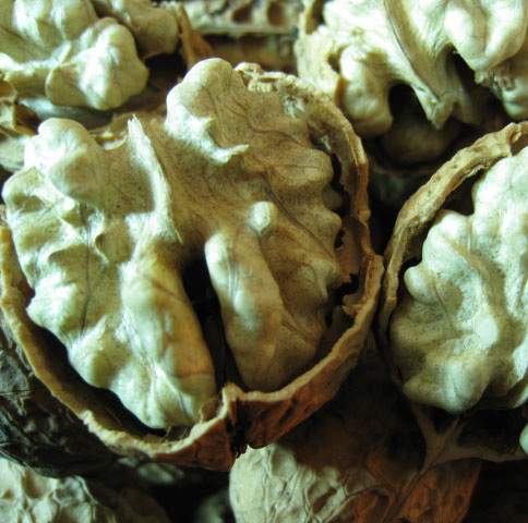 2018 new goods Yunnan Cardboard Walnut Dayao 103 Walnut specialty Special purchases for the Spring Festival dried food 500gin the Snacks/Nuts/Specialty , Hickory/Nuts/Roasting , Cardboard/Walnut category - from Buy2taobao.com to provide professional Taobao agent buy service